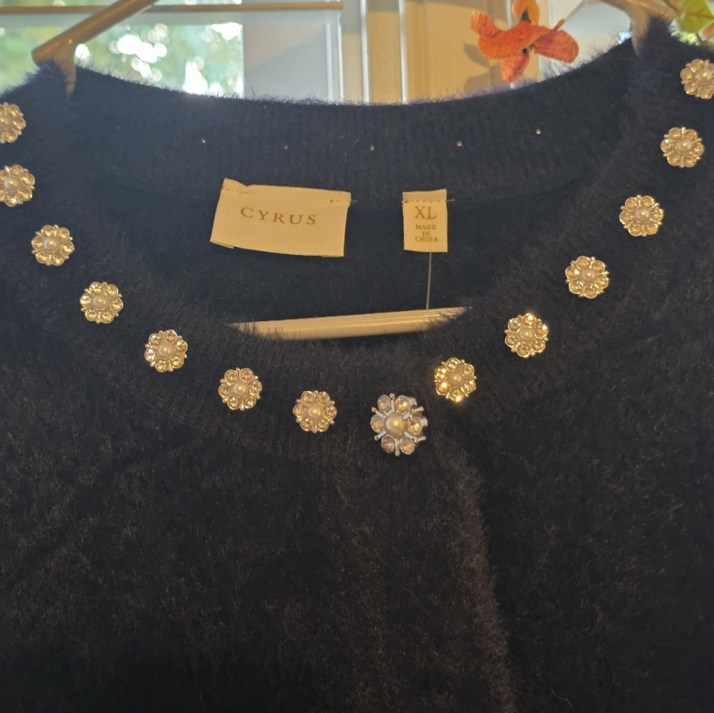 Nwt Cyrus Blue Sweater with Embellished Neckline - Picture 2 of 8